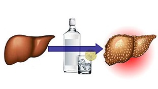 wpływ alkoholu na wątrobę